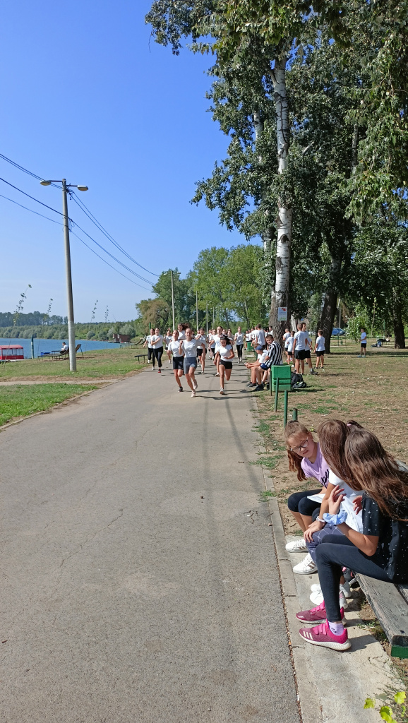 IMG20230922113352.jpg IMG20230922113352.jpg